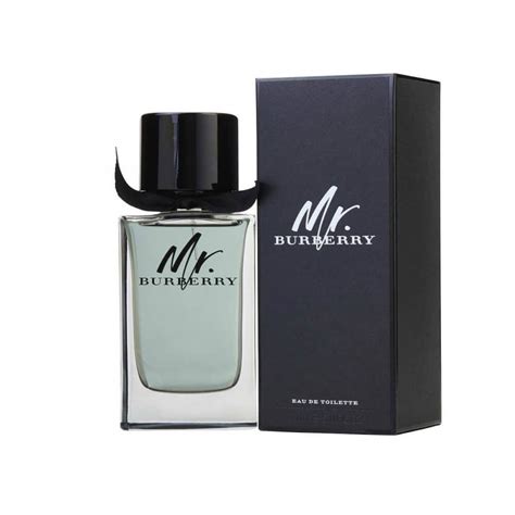 mr burberry edt winter|Burberry her images.